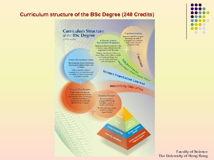 Curriculum structure of the BSc Degree (240 Credits) Faculty of Science The University of