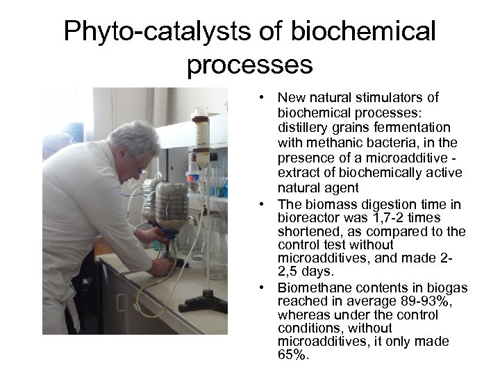 Phyto-catalysts of biochemical processes • New natural stimulators of biochemical processes: distillery grains fermentation