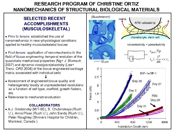 RESEARCH PROGRAM OF CHRISTINE ORTIZ NANOMECHANICS OF STRUCTURAL BIOLOGICAL MATERIALS SELECTED RECENT ACCOMPLISHMENTS (MUSCULOSKELETAL)