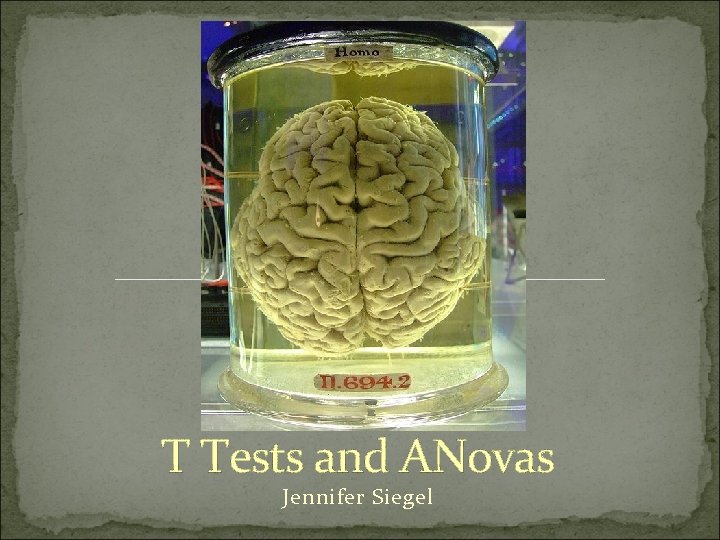 T Tests and ANovas Jennifer Siegel 