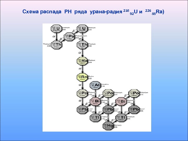 Схема распада РН ряда урана-радия 238 92 U и 226 88 Ra) 