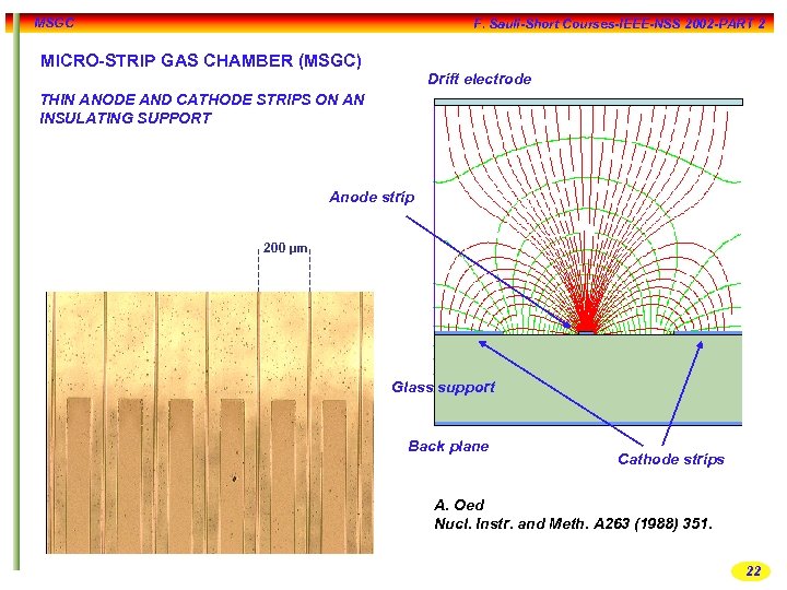 MSGC F. Sauli-Short Courses-IEEE-NSS 2002 -PART 2 MICRO-STRIP GAS CHAMBER (MSGC) Drift electrode THIN