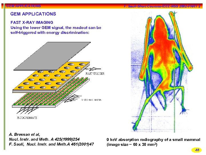 GEM APPLICATIONS F. Sauli-Short Courses-IEEE-NSS 2002 -PART 2 GEM APPLICATIONS FAST X-RAY IMAGING Using