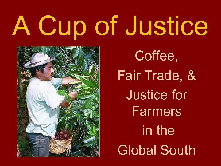 A Cup of Justice Coffee, Fair Trade, & Justice for Farmers in the Global