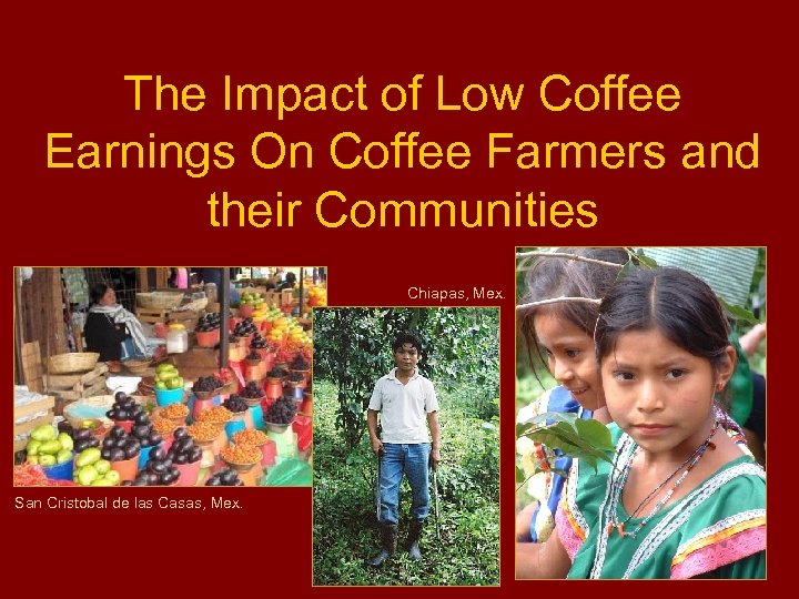 The Impact of Low Coffee Earnings On Coffee Farmers and their Communities Chiapas, Mex.