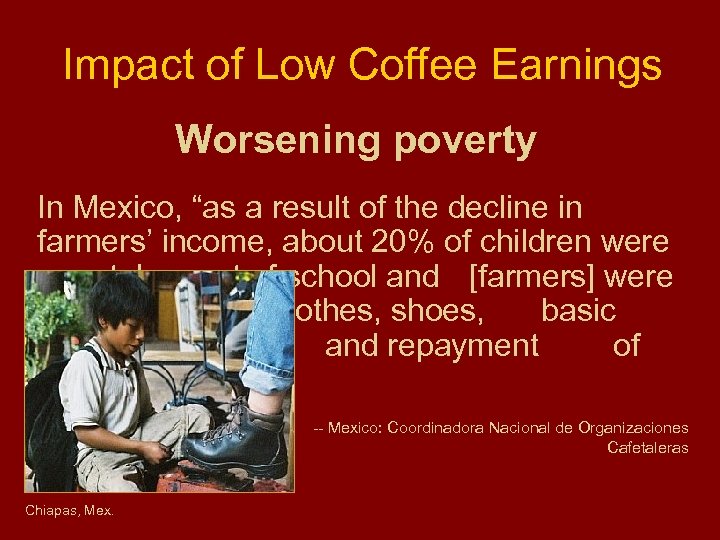 Impact of Low Coffee Earnings Worsening poverty In Mexico, “as a result of the