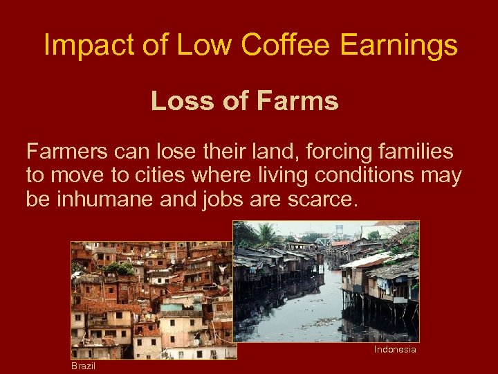 Impact of Low Coffee Earnings Loss of Farms Farmers can lose their land, forcing