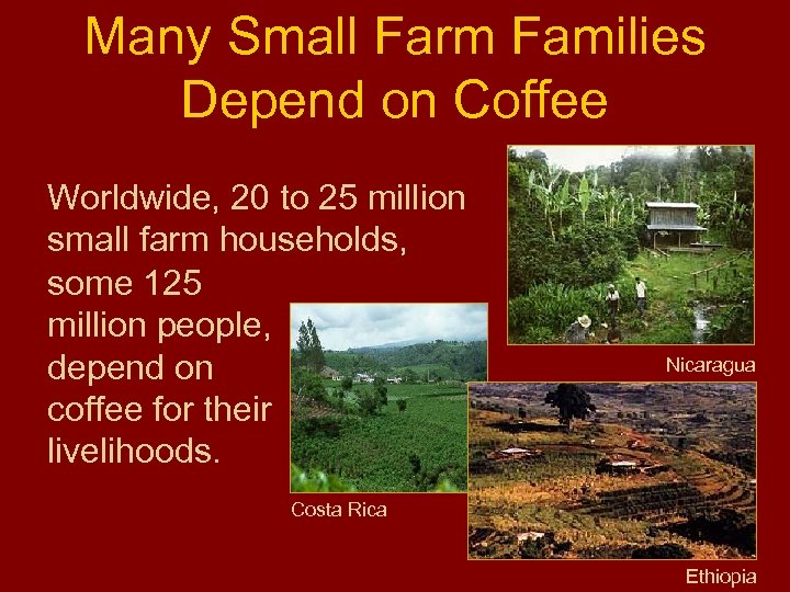 Many Small Farm Families Depend on Coffee Worldwide, 20 to 25 million small farm