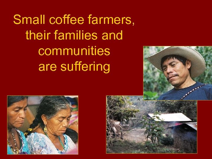 Small coffee farmers, their families and communities are suffering 