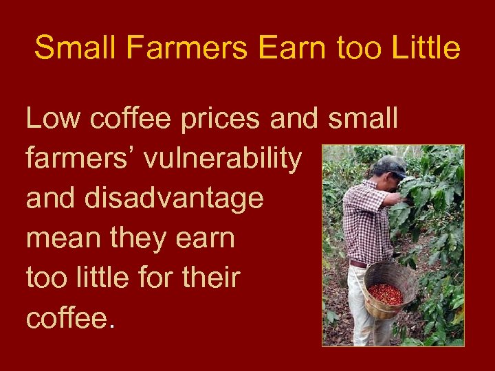 Small Farmers Earn too Little Low coffee prices and small farmers’ vulnerability and disadvantage