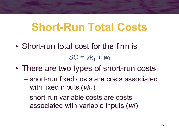 Short-Run Total Costs • Short-run total cost for the firm is SC = vk