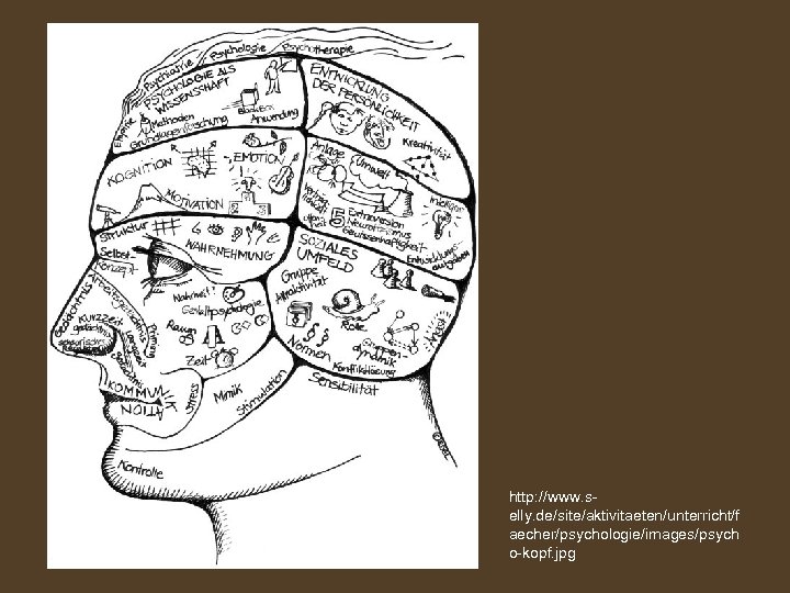 http: //www. selly. de/site/aktivitaeten/unterricht/f aecher/psychologie/images/psych o-kopf. jpg 