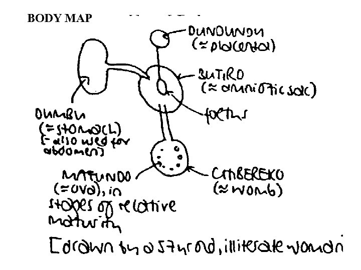 BODY MAP 