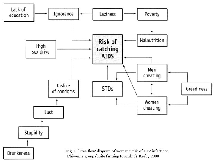 Fig. 1. `Free flow' diagram of women's risk of HIV infection: Chiweshe group (quite
