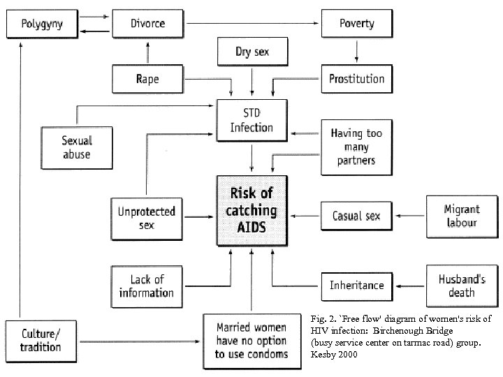 Fig. 2. `Free flow' diagram of women's risk of HIV infection: Birchenough Bridge (busy
