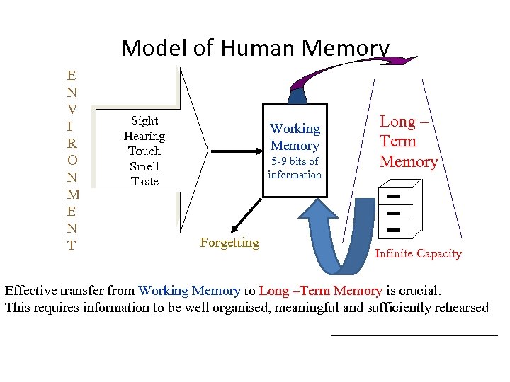 Model of Human Memory E N V I R O N M E N