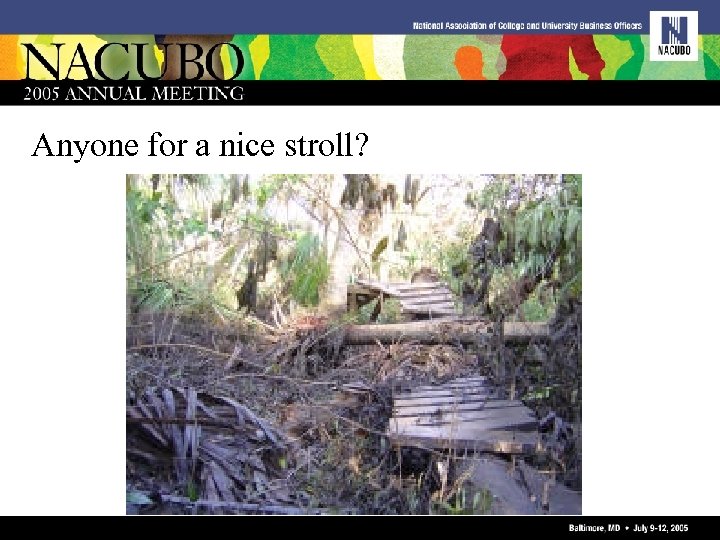 Anyone for a nice stroll? 