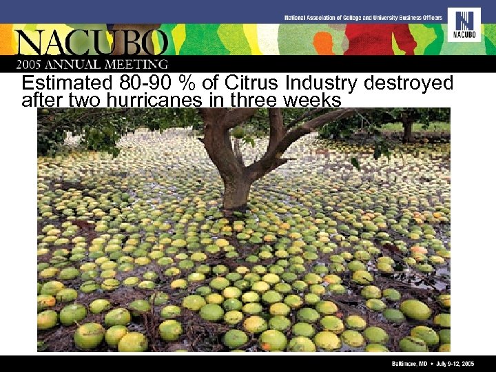 Estimated 80 -90 % of Citrus Industry destroyed after two hurricanes in three weeks