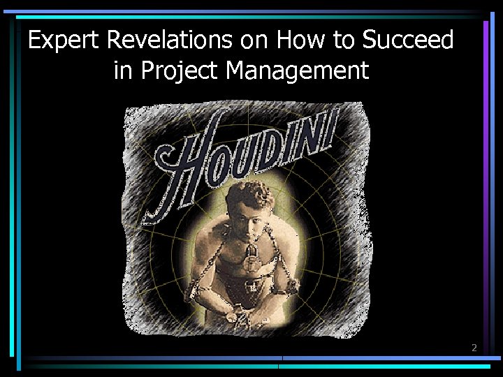 Expert Revelations on How to Succeed in Project Management 2 