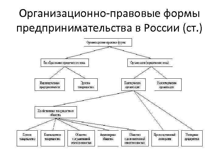 Организационные правовые формы хозяйственный