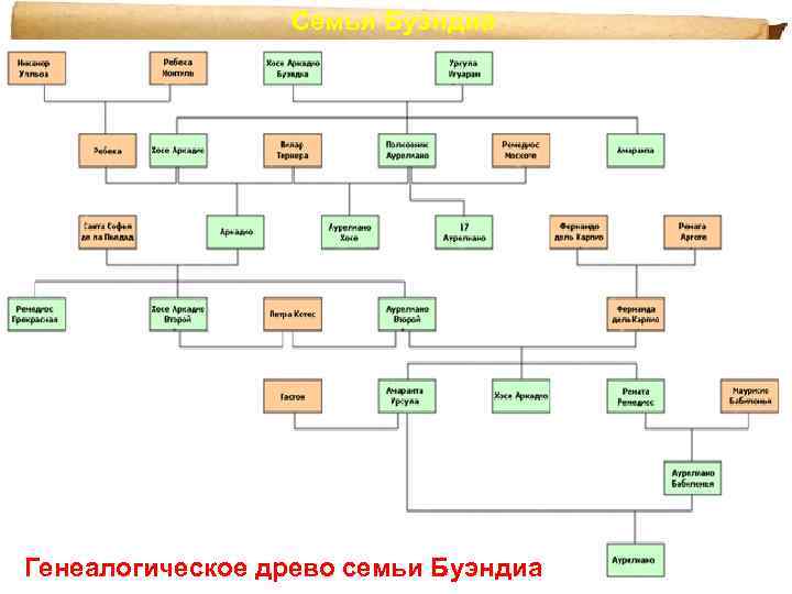 Семья Буэндиа Генеалогическое древо семьи Буэндиа 