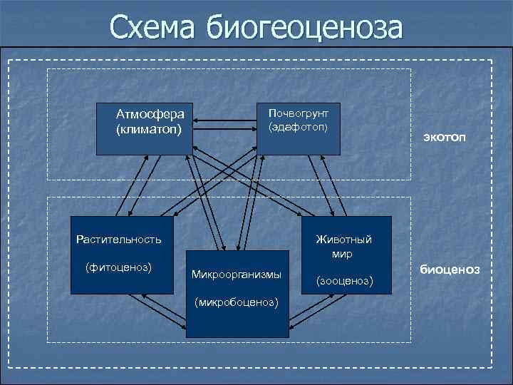 Схема биогеоценоза Атмосфера (климатоп) Почвогрунт (эдафотоп) Растительность (фитоценоз) экотоп Животный мир Микроорганизмы (микробоценоз) (зооценоз)