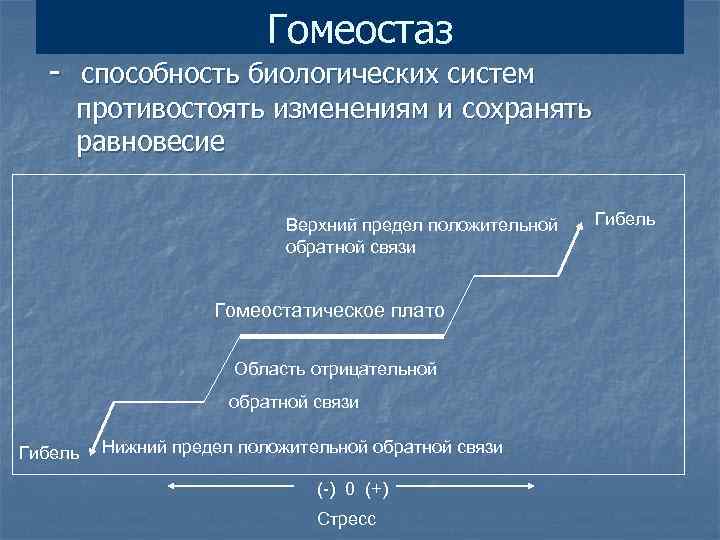 Гомеостаз - способность биологических систем противостоять изменениям и сохранять равновесие Верхний предел положительной обратной