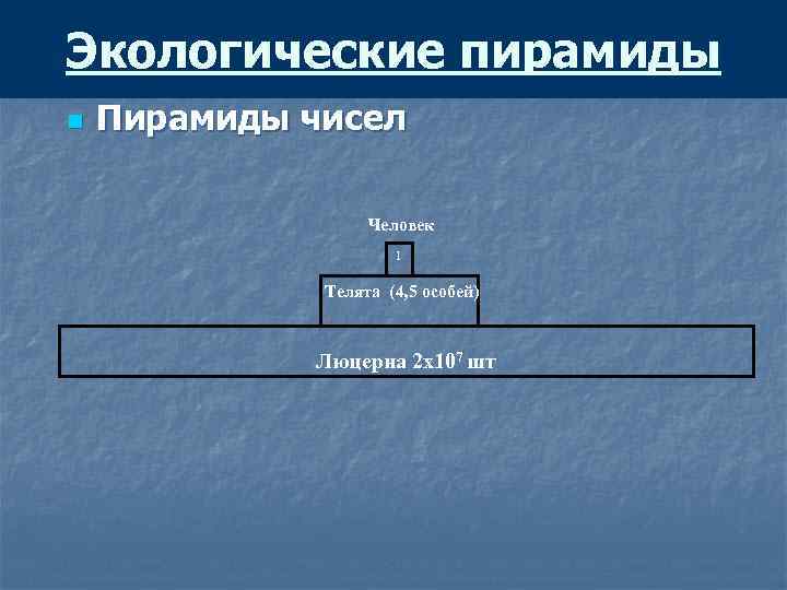 Экологические пирамиды n Пирамиды чисел Человек 1 Телята (4, 5 особей) Люцерна 2 х107