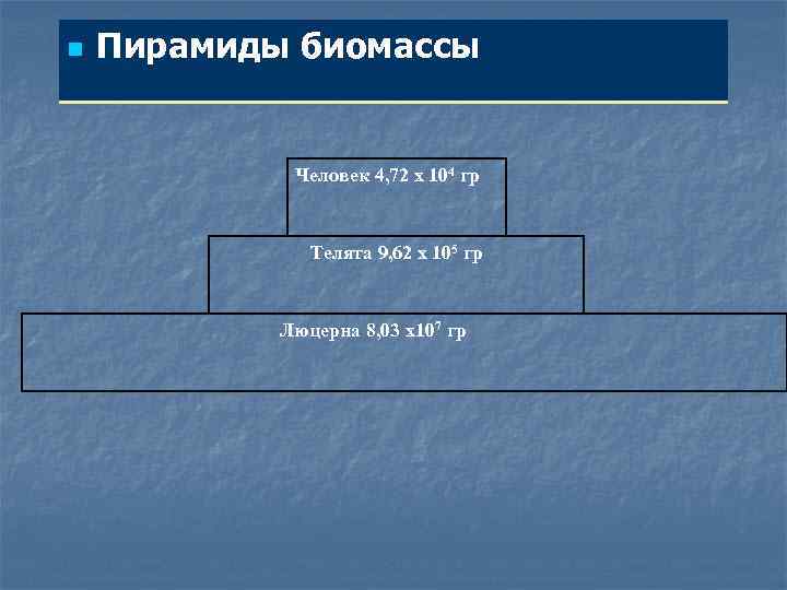 n Пирамиды биомассы Человек 4, 72 х 104 гр Телята 9, 62 х 105