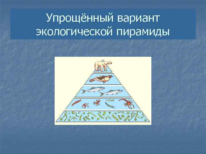 Упрощённый вариант экологической пирамиды 