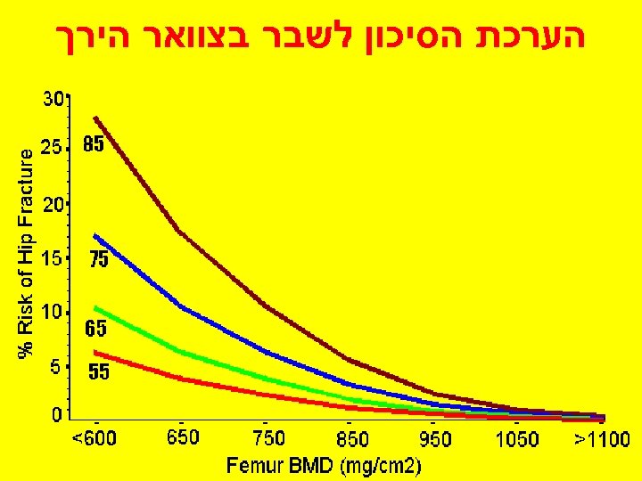  הערכת הסיכון לשבר בצוואר הירך 