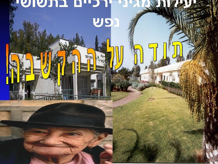  יעילות מגיני ירכיים בתשושי נפש 
