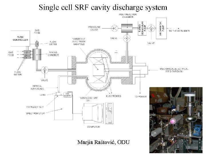 ARDPRM Marjia Raštović, ODU 
