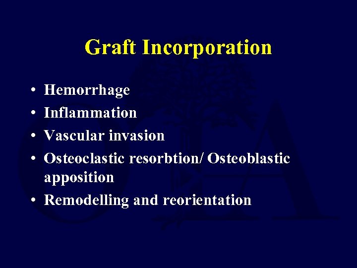 Graft Incorporation • • Hemorrhage Inflammation Vascular invasion Osteoclastic resorbtion/ Osteoblastic apposition • Remodelling