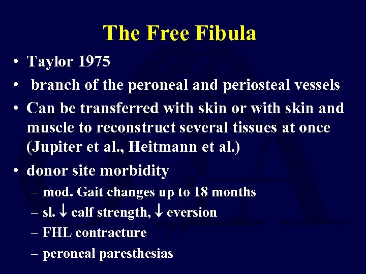 The Free Fibula • Taylor 1975 • branch of the peroneal and periosteal vessels