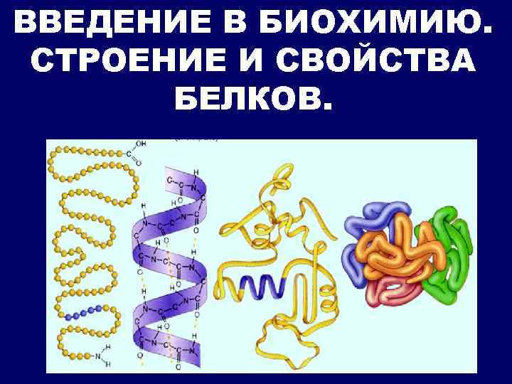 ВВЕДЕНИЕ В БИОХИМИЮ. СТРОЕНИЕ И СВОЙСТВА БЕЛКОВ. 