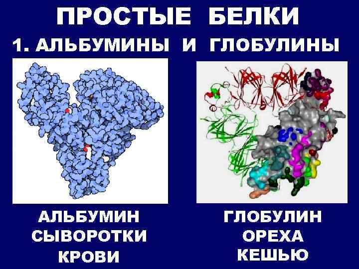 Простой белок. Белок глобулин. Альбумины и глобулины. Альбумины и глобулины биохимия. Белки крови альбумины глобулины.