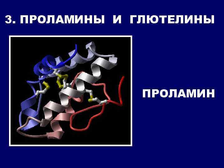 3. ПРОЛАМИНЫ И ГЛЮТЕЛИНЫ ПРОЛАМИН 