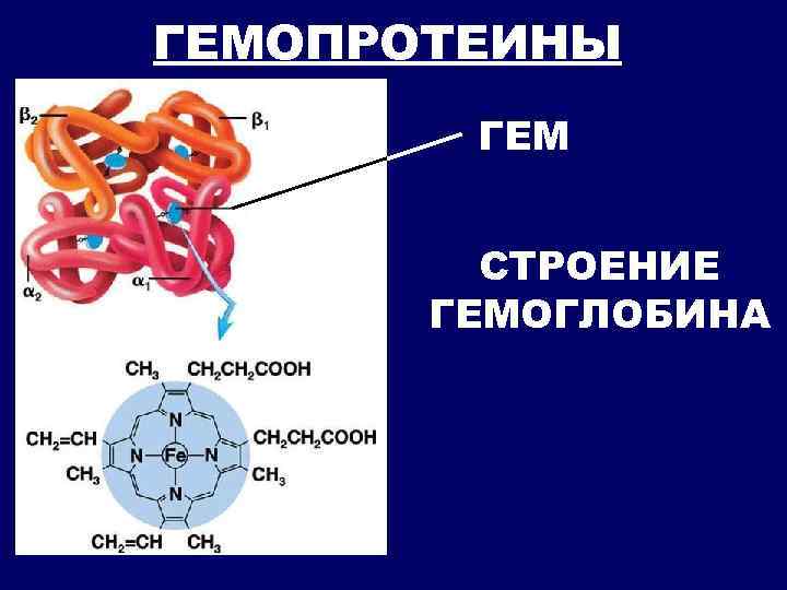 Микроэлемент входящий в состав гемоглобина