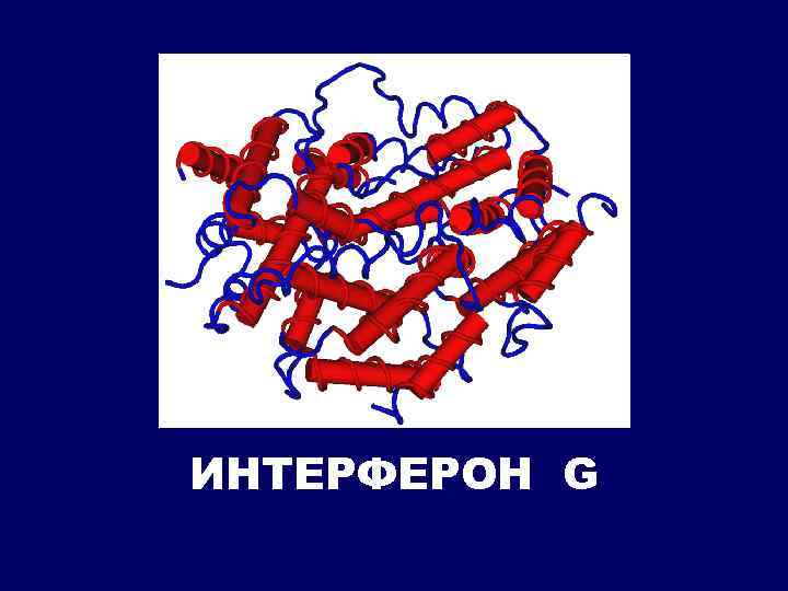 ИНТЕРФЕРОН G 