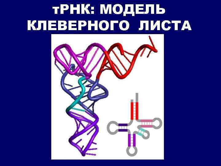 Биохимия в одной картинке