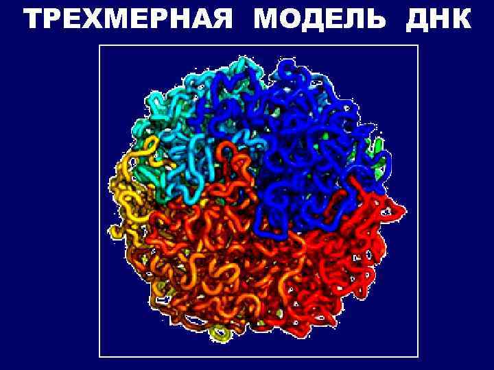 Биохимия в одной картинке