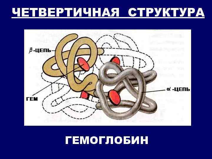 Четвертичная структура молекулы