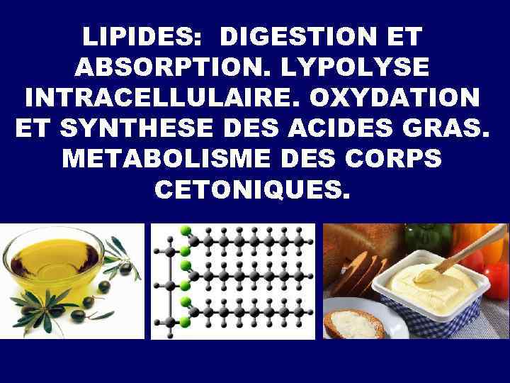 LIPIDES: DIGESTION ET ABSORPTION. LYPOLYSE INTRACELLULAIRE. ОXYDATION ET SYNTHESE DES ACIDES GRAS. МЕTABOLISME DES