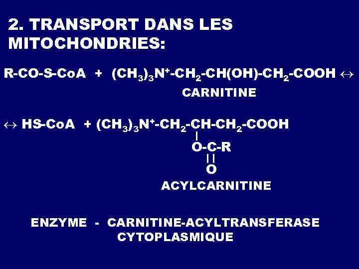 2. TRANSPORT DANS LES MITOCHONDRIES: R-CO-S-Co. A + (CH 3)3 N+-CH 2 -CH(OH)-CH 2