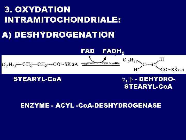 3. OXYDATION INTRAMITOCHONDRIALE: А) DESHYDROGENATION FAD STEARYL-Co. A FADH 2 , - DEHYDROSTEARYL-Co. A