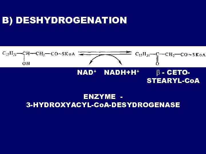 В) DESHYDROGENATION NAD+ NADH+H+ - CETOSTEARYL-Co. A ENZYME 3 -HYDROXYACYL-Co. A-DESYDROGENASE 