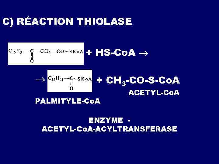 C) RÉACTION THIOLASE + HS-Co. A + CH 3 -CO-S-Co. A PALMITYLE-Co. A ACETYL-Co.