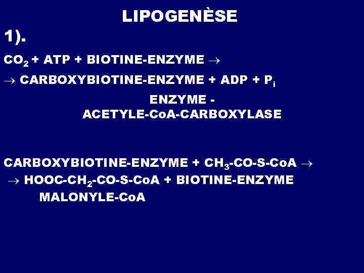 1). LIPOGENÈSE СО 2 + ATP + BIOTINE-ENZYME CARBOXYBIOTINE-ENZYME + ADP + Pi ENZYME