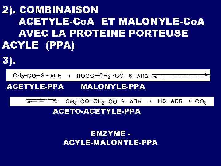 2). СОMBINAISON АCETYLE-Co. A ET MALONYLE-Co. A AVEC LA PROTEINE PORTEUSE ACYLE (PPA) 3).